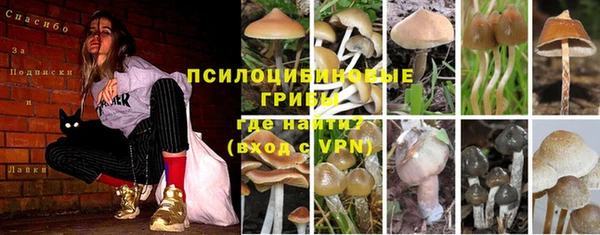 амф Баксан