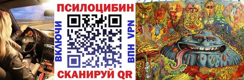 Псилоцибиновые грибы MAGIC MUSHROOMS  Себеж 